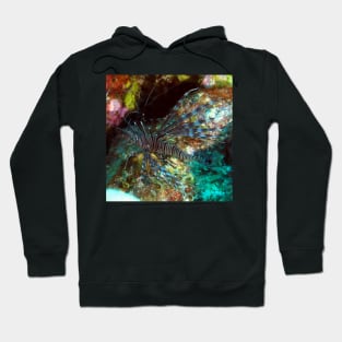 Lion Fish on the Reef Hoodie